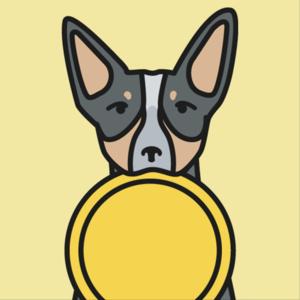 Paws and Reflect