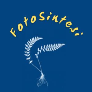 FotoSintesi