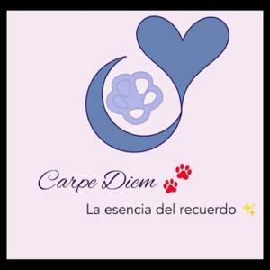 Carpe Diem