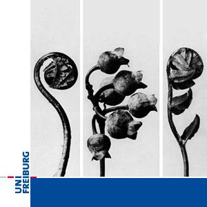 Evolution - Karrieren eines wissenschaftlichen Paradigmas