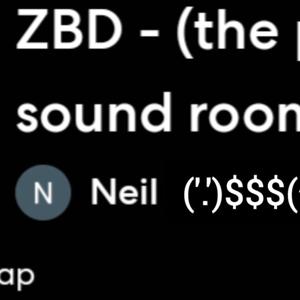 ZBD -2025 (party room sound)