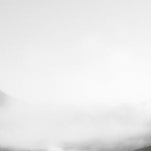 Intervención norteamericana