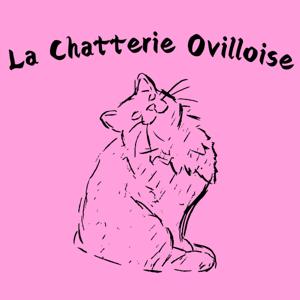 La Chatterie Ovilloise - Élevage de chatons Sibériens - Conseils pour une adoption réussie !
