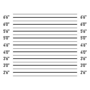 How Our Sentence Counter Tool Works?