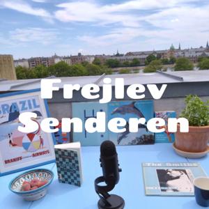 Frejlev Senderen - Noveller