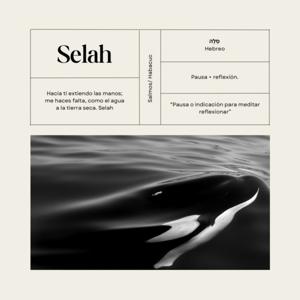SELAH