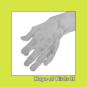 Hope of Birds Ⅱ
