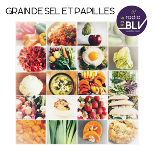 Grain De Sel Et Papilles