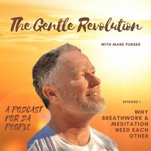 The Gentle Revolution