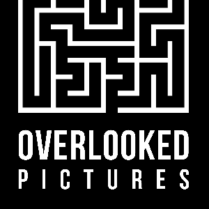 Overlooked Pictures