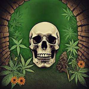 ПІДПОД - Перший український хай-тайм