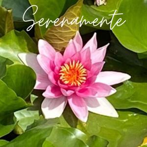 Meditazioni guidate 🫶🏻