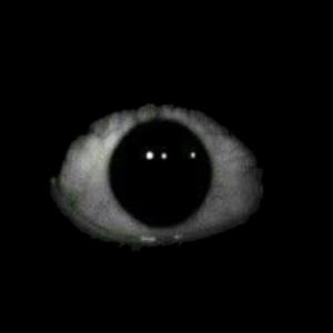 TheCreepyTV