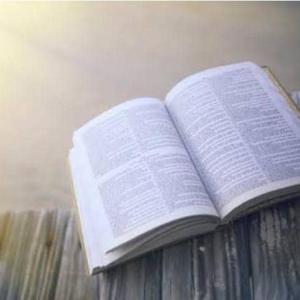 BibleSunVison✅💗😘