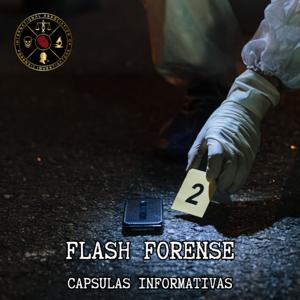 FLASH FORENSE