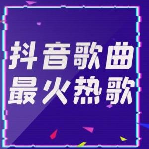 抖音最新热门歌曲集 by 小农民壞得狠丶
