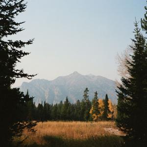 Ecología e Interculturalidad