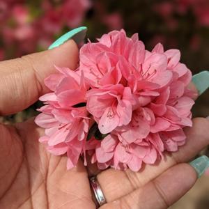 The E-Spot with Audrey Breeze