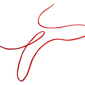 Il filo delle parole