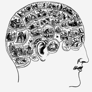Marvellous Mind