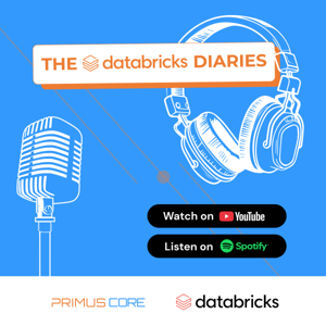 The Databricks Diaries