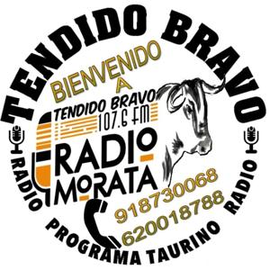 TENDIDO BRAVO