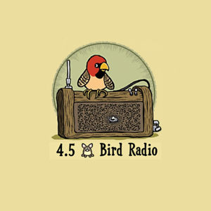 4.5头鸟 _Radio