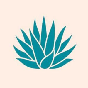 Agave Tales : from the plant to the palate