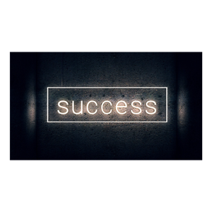 The Success Lab
