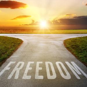 Freedom from the System