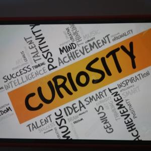 Curiosità in azione