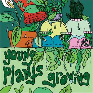 Young Plants Growing