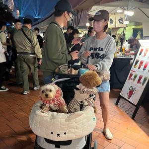 ROC Taiwan  : naître ou ne pas naître ?