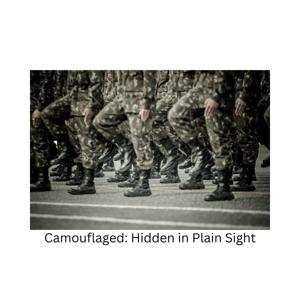 Camouflaged: Hidden in Plain Sight