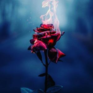 The Trees Have Eyes podcast