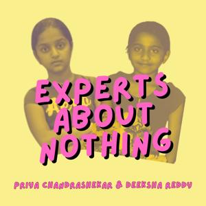 Experts About Nothing
