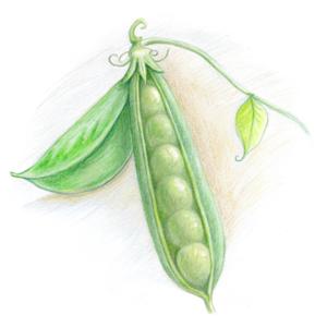 ちょっと飛躍しすぎラジオ