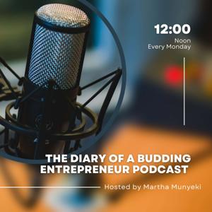 The Diary of a Budding Entrepreneur Podcast