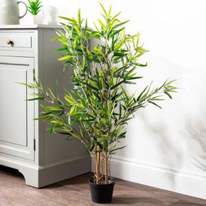 Stunning Large Indoor Plants with Pots