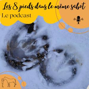 Les 8 pieds dans le même sabot