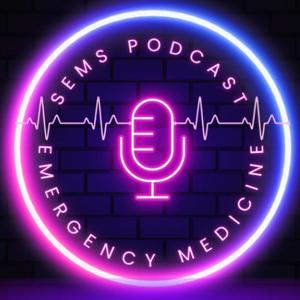 SEMS Podcast