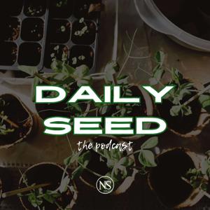 Daily Seed the podcast
