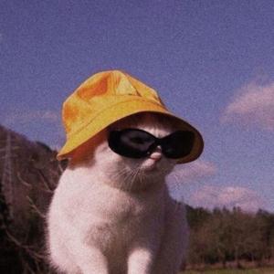 Totally Unreliable Advice