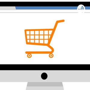 Ecommerce Newbie