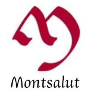 Montsalut Vida Sana