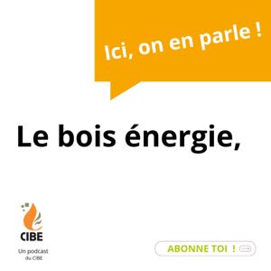 "Le bois-énergie, on en parle ?"
