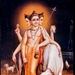 श्रीपाद श्रीवल्लभ चरित्रामृत