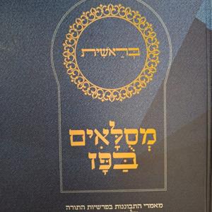 פרשת השבוע | הרב בנימין רוזנצוויג שליט"א
