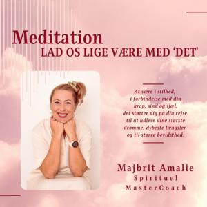 Lad os lige være med "det" - Meditation