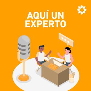 Aquí un Experto